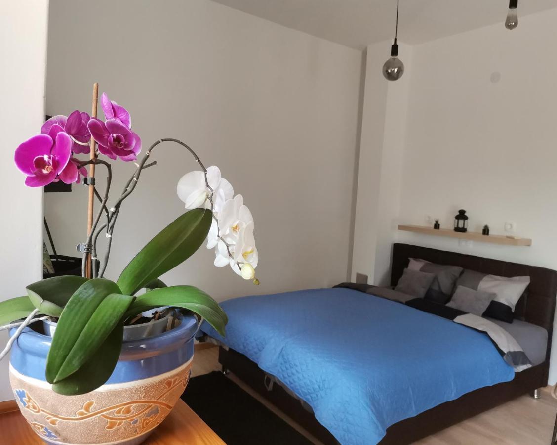 Sandra Apartment Lovran